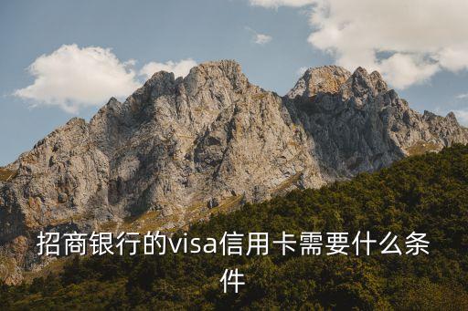 招商銀行的visa信用卡需要什么條件
