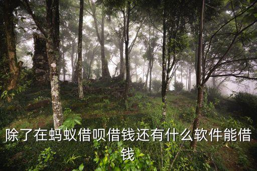 借唄 微粒貸還有什么，網(wǎng)上借錢除了螞蟻借唄微粒貸還有什么可以借到