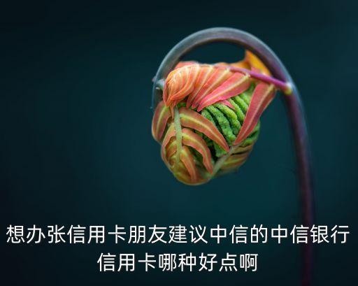 想辦張信用卡朋友建議中信的中信銀行信用卡哪種好點(diǎn)啊