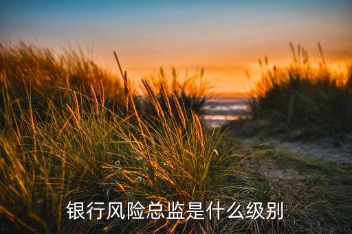 銀行風險總監(jiān)是什么級別