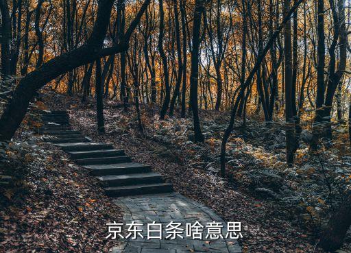 jd白條分期是什么，京東商城的分期付款打白條具體什么情況具體解釋下