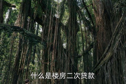 什么是樓房二次貸款