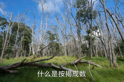 什么是按揭成數(shù)