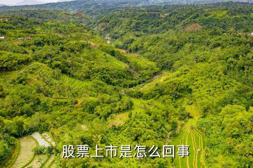 上市股票是什么意思嗎，股票上市是怎么回事