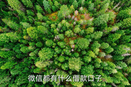 微信口子通是什么，口袋通 和微信自己的微信小店有什么區(qū)別