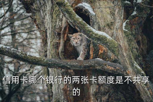 什么銀行額度不共享，廣發(fā)信用卡什么卡種額度不共享