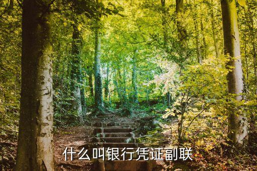 銀行卡修改憑證是什么意思，結(jié)帳后要修改憑證