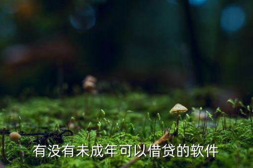 未成年什么最有抵押，未滿18歲學(xué)生哪些軟件可以貸款