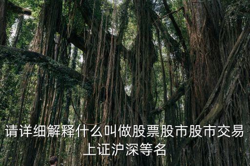 請(qǐng)?jiān)敿?xì)解釋什么叫做股票股市股市交易上證滬深等名