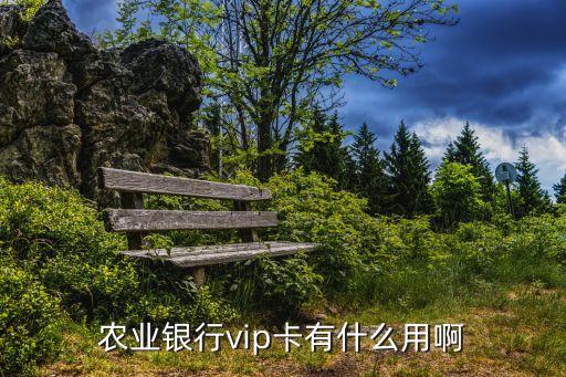 農(nóng)業(yè)銀行vip卡有什么用啊