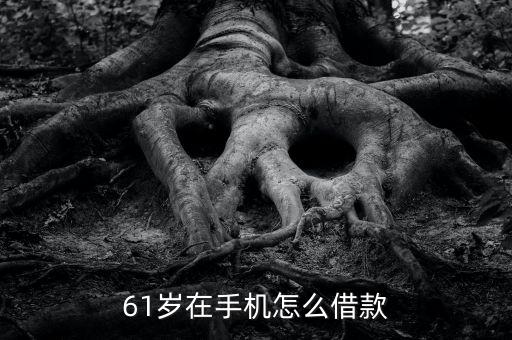 年齡61能做什么貸款，61歲的父母可辦抵押貸嗎