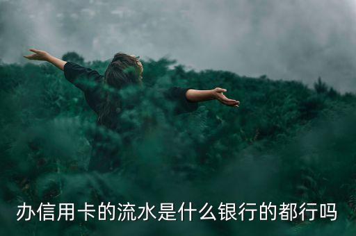 辦信用卡的流水是什么銀行的都行嗎