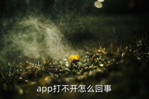 app打不開怎么回事