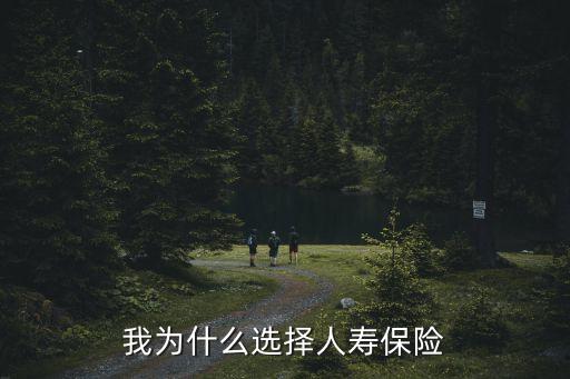 我為什么選擇人壽保險(xiǎn)