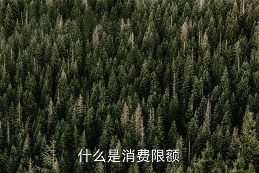 什么是消費(fèi)限額