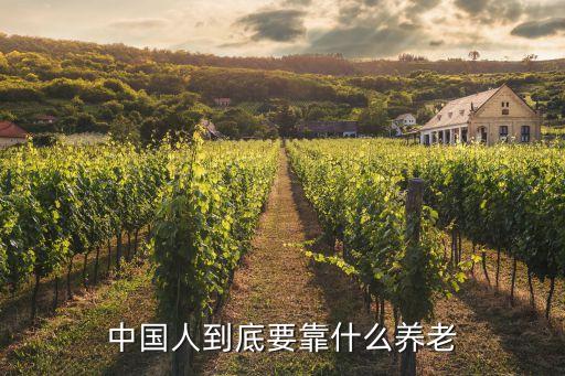 用什么養(yǎng)老，現(xiàn)在養(yǎng)老都有哪些方式