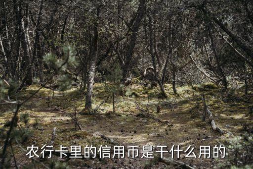 農(nóng)行的信用幣是什么，農(nóng)行卡里的信用幣是干什么用的