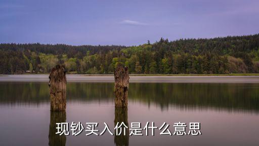 現(xiàn)鈔買入價是什么意思