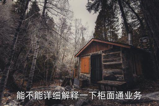 能不能詳細解釋一下柜面通業(yè)務