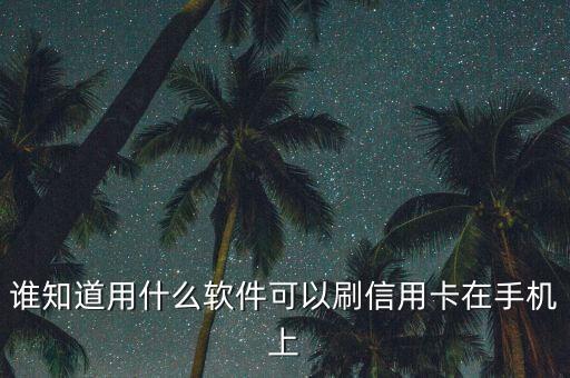 誰知道用什么軟件可以刷信用卡在手機(jī)上