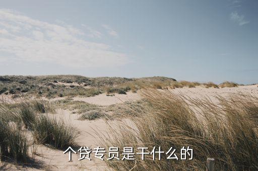 個(gè)貸專員是干什么的
