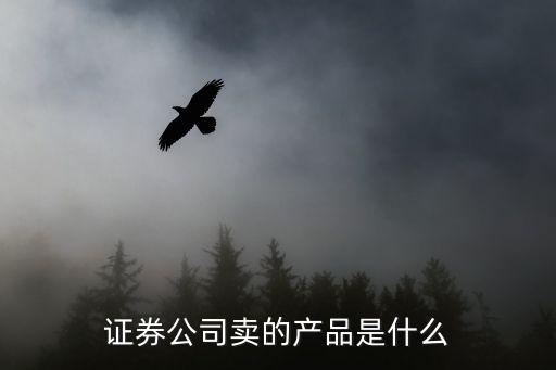 什么是券商產(chǎn)品，誰(shuí)知道券商自營(yíng)的理財(cái)產(chǎn)品是什么意思啊請(qǐng)解釋一下啊