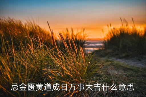 忌金匱黃道成日萬事大吉什么意思