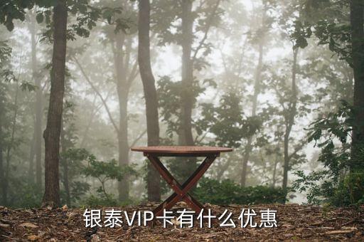 銀泰VIP卡有什么優(yōu)惠