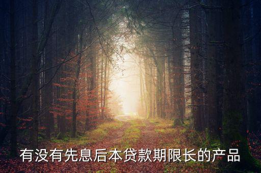 有沒有先息后本貸款期限長(zhǎng)的產(chǎn)品