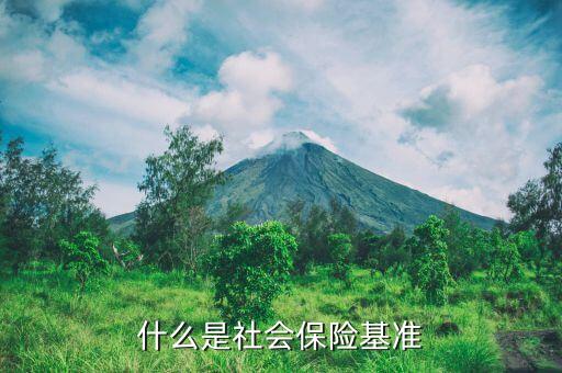 基準是什么意思，什么是社會保險基準