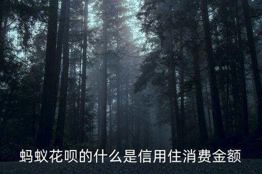 螞蟻花唄的什么是信用住消費金額