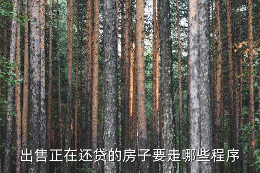 出售正在還貸的房子要走哪些程序
