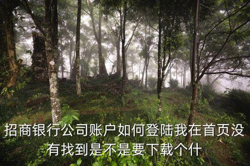 招商銀行企業(yè)賬號是什么，銀行的對公帳號是什么意思