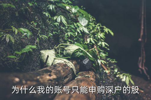 為什么我的賬號只能申購深戶的股