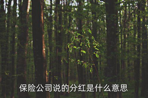保險(xiǎn)公司說的分紅是什么意思