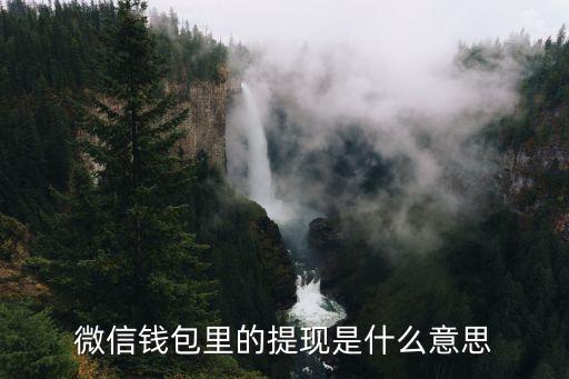 微信錢包里的提現(xiàn)是什么意思
