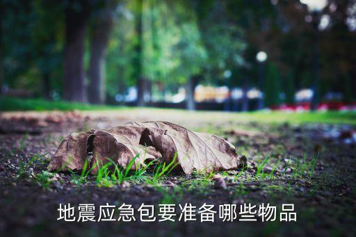 應(yīng)急錢包需要什么資料，地震應(yīng)急包內(nèi)應(yīng)準(zhǔn)備什么物品