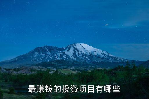 最賺錢(qián)的投資項(xiàng)目有哪些