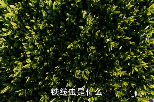 如意寶是什么，如意寶是什么保險包括哪些一個月168一年就是2016是存儲還