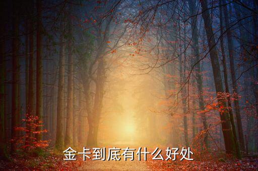 金卡到底有什么好處