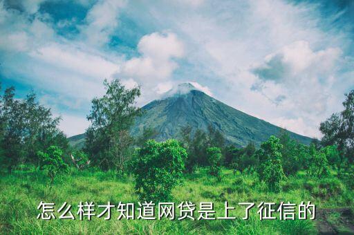 什么才是上征信的貸款，哪些是上征信的