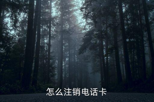 電話(huà)卡怎么自己注銷(xiāo)嗎，身份證辦的手機(jī)卡可以自己注銷(xiāo)嗎