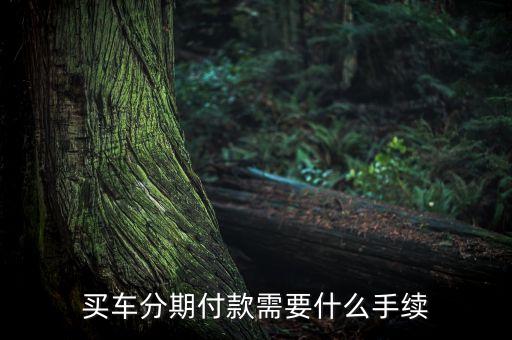 買車分期付款需要什么手續(xù)