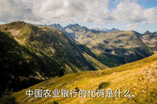 農(nóng)業(yè)銀行的代碼是什么，中國(guó)農(nóng)業(yè)銀行國(guó)際代碼是多少