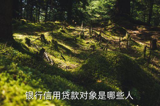 銀行信用的對(duì)象是什么關(guān)系，銀行信用是什么