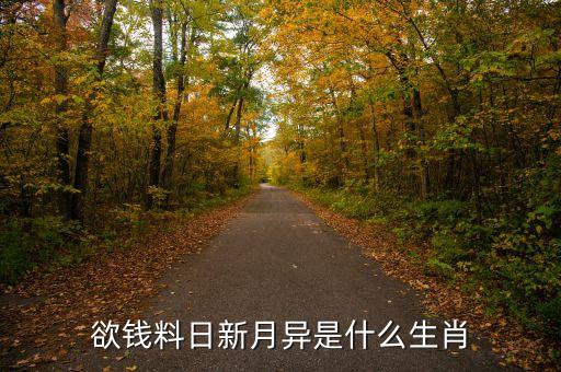 欲錢料日新月異是什么生肖