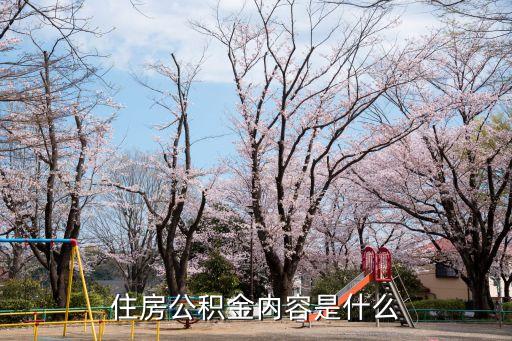 住房公積金是什么，我想知道住房公積金是怎么回事啊