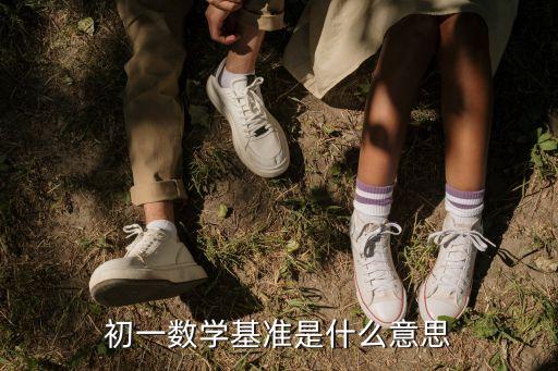 初一數(shù)學(xué)基準(zhǔn)是什么意思