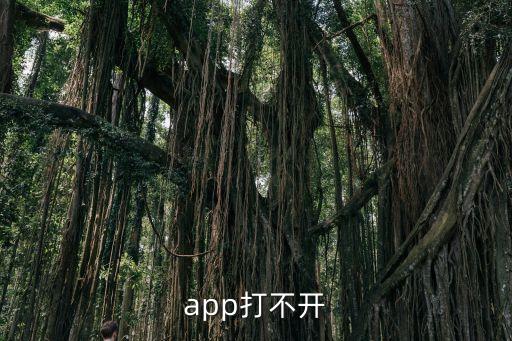 為什么一帳通app打不開，為什么手機平安口袋一賬通登陸不了電腦卻可以登陸