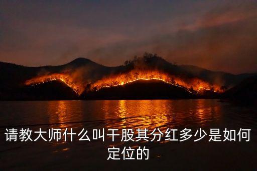 干股分紅是什么意思，什么是股票分紅新手說簡單一些